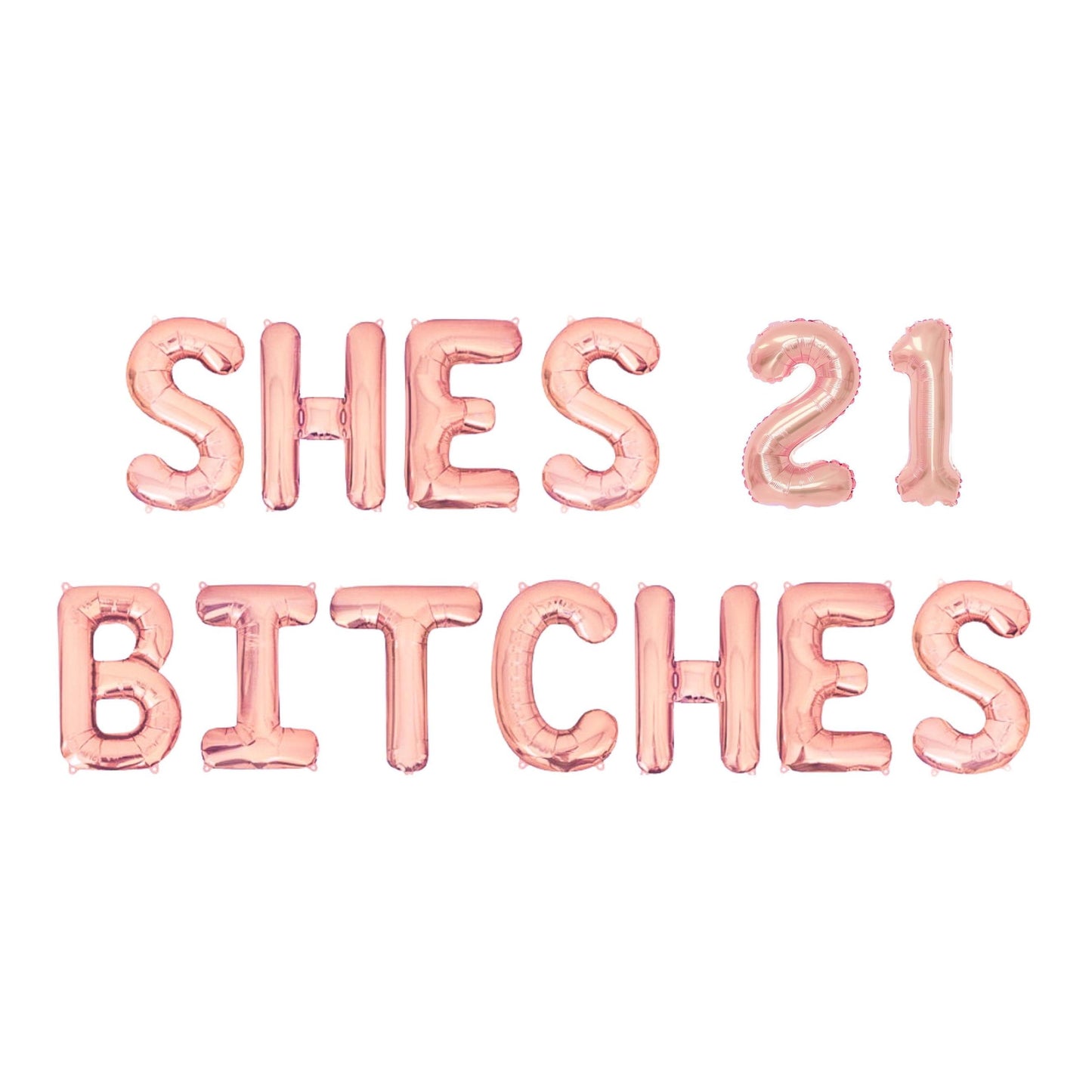 She's 21 Bitches Letter Balloon Kit