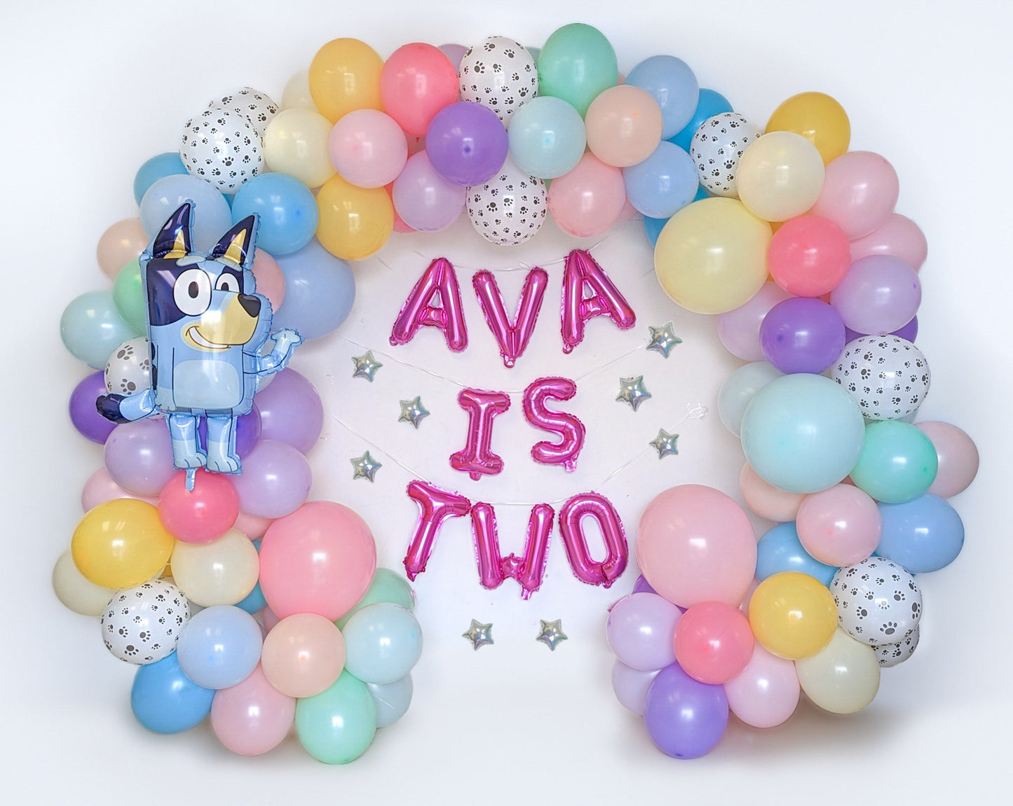 Pastel Bluey Birthday Balloon Garland Kit