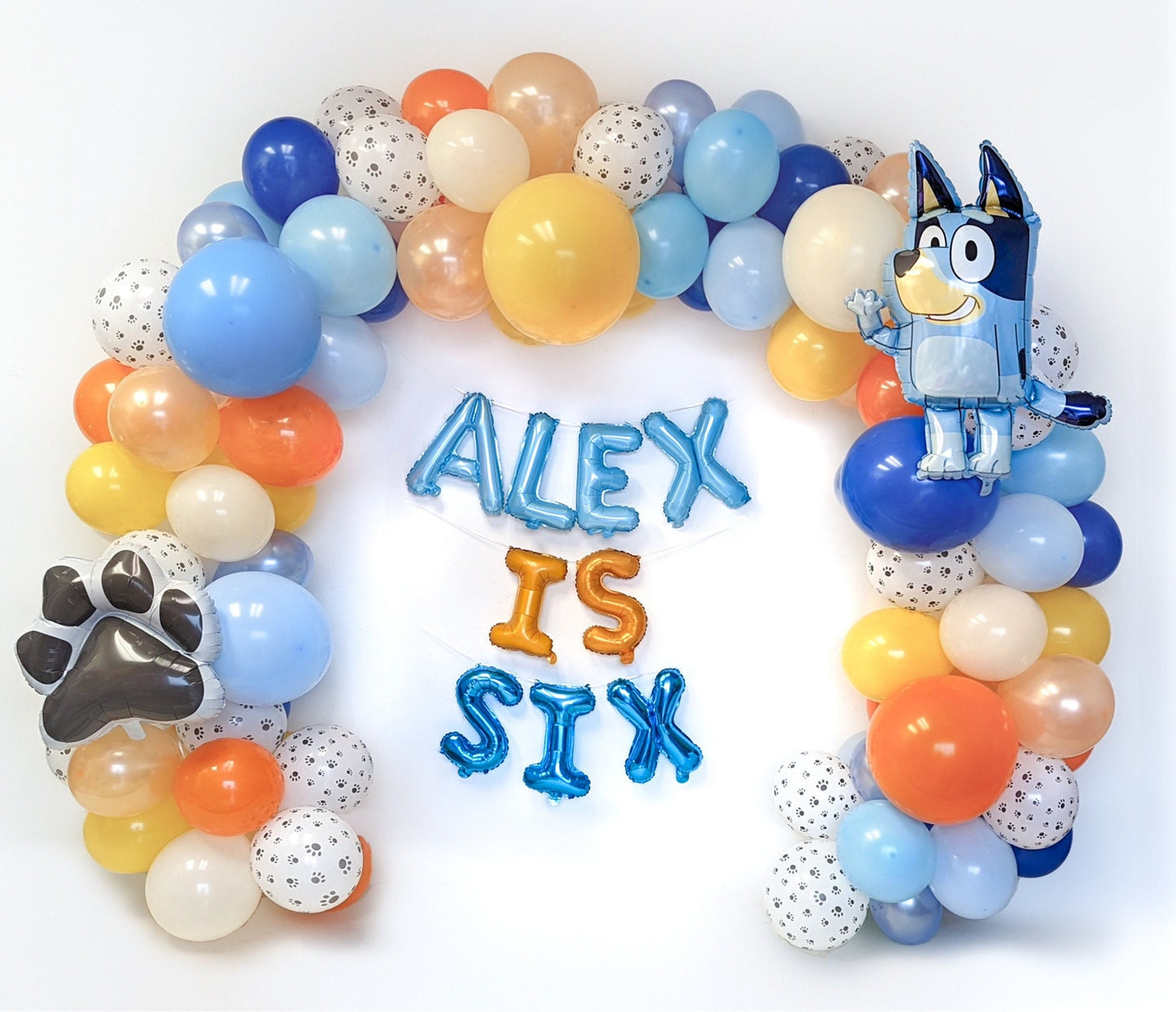 Bluey Birthday Balloon Garland Kit