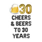 Cheers & Beers To 30 Years 30th Birthday Letter Balloon Kit