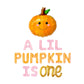 A Lil Pumpkin Is One Letter Balloon Kit