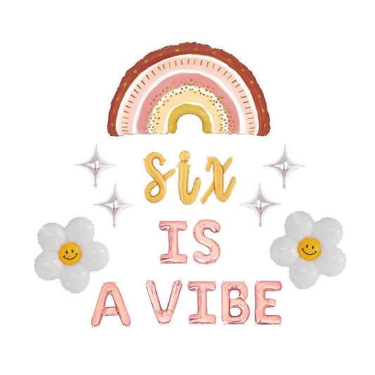 Six Is A Vibe Boho Daisies letter Balloon Kit