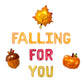 Falling For You Letter Balloon Kit