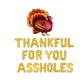 Thankful For You Assholes Thanksgiving Letter Balloon Kit