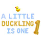 A Little Duckling Is One Letter Balloon Kit