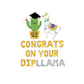 Congrats On Your Dipllama Graduation Letter Balloon Kit