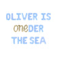 Custom Name Is OneDer The Sea Baby Blue Letter Balloon Kit