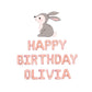 Happy Birthday Custom Name With Bunny Birthday Letter Balloon Kit