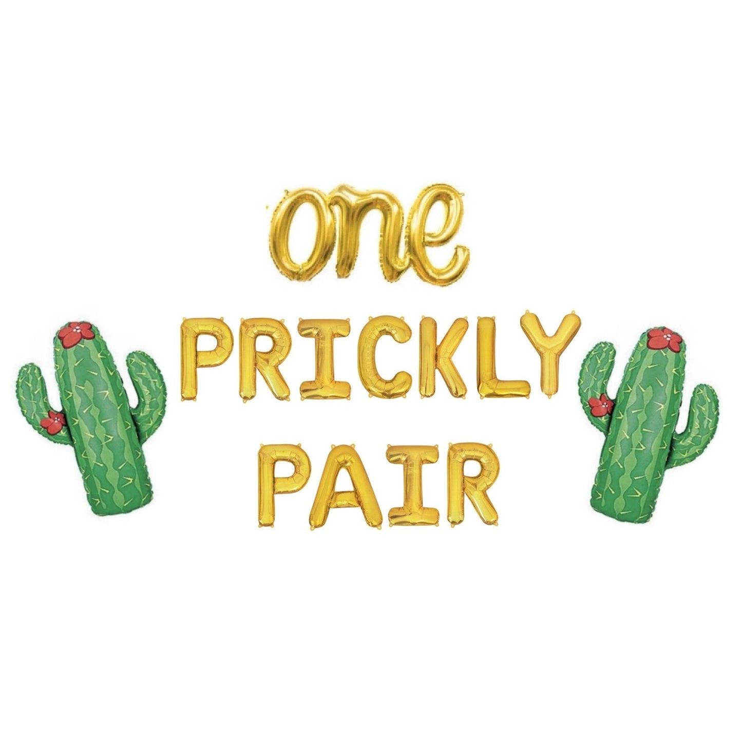 One Prickly Pair 1st Birthday Letter Balloon Kit