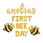 Custom Names First Bee Day Birthday Letter Balloon Kit