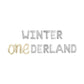 Winter Onderland Letter Balloon Kit