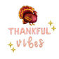 Thankful Vibes Thanksgiving Letter Balloon Kit