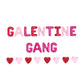 Galentine Gang Multi-Colored Galentines Day Letter Balloon Kit