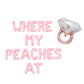 Where My Peaches At Bachelorette Letter Balloon Kit