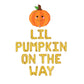 Lil Pumpkin On The Way Halloween Letter Balloon Kit