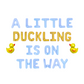 A Little Duckling Is On The Way Letter balloon Kit