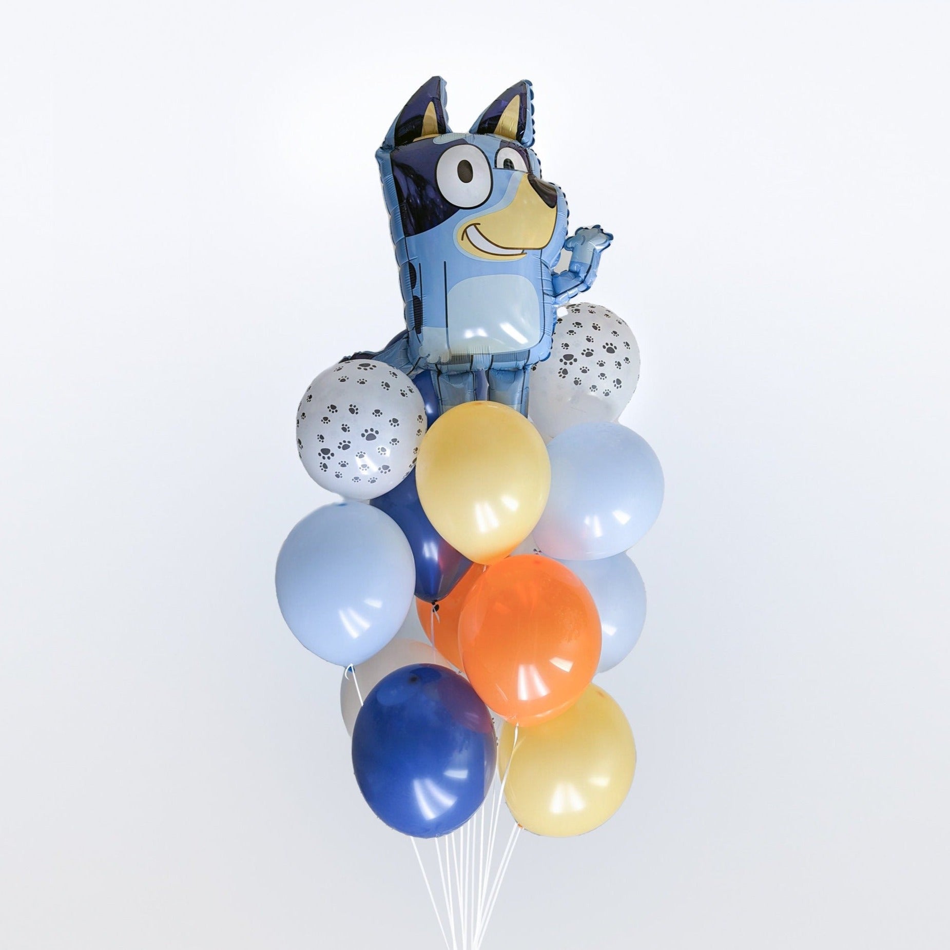 Bluey Balloon Bouquet – CherCanDoIt