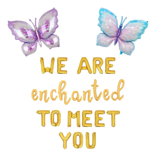 We Are Enchanted To Meet You Letter Balloon Kit