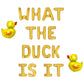 What The Duck Is It Letter Balloon Kit