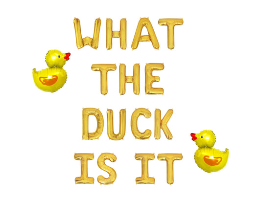 What The Duck Is It Letter Balloon Kit