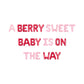 A Berry Sweet Baby Is On The Way Letter Balloon Kit