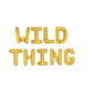 Wild Thing Kids Party Letter Balloon Kit