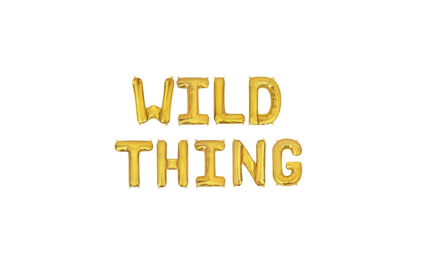 Wild Thing Kids Party Letter Balloon Kit