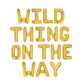 Wild Thing On the Way Baby Shower Letter Balloon Kit