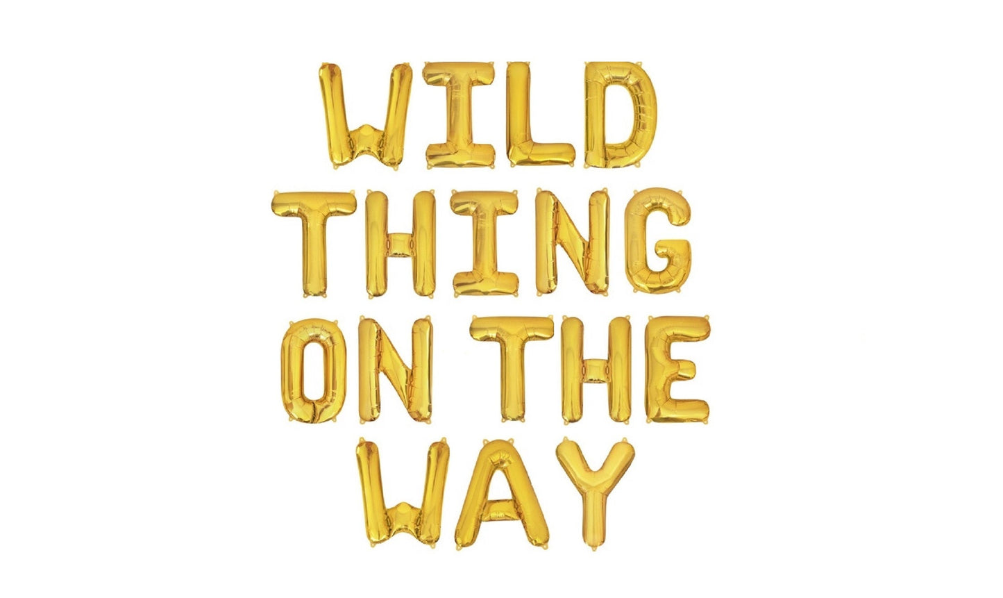 Wild Thing On the Way Baby Shower Letter Balloon Kit