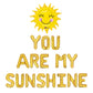 You Are My Sunshine Letter Balloon Kit