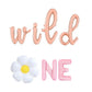 Wild One Daisy Letter Balloon Kit