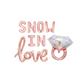 Snow In Love Letter Balloon Kit